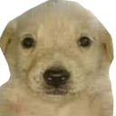 GustaBot